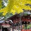 北口本宮冨士浅間神社