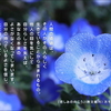 道しるべ（264）本来のよさ