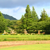 Part 2　上堰潟公園にお散歩に行ってきました