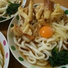 ちくわとじゃがいものかき揚げ冷やしうどん。