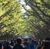2019年神宮外苑いちょう祭り始まる！！