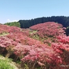 二上山～葛城山～金剛山 体力も気力も限界 