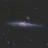 クジラ銀河_NGC4631