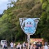オレンジ🍊カルリーニョス