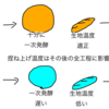 二次発酵で膨らまない？"レシピの落とし穴"と３つのチェックポイント