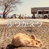 今年も 1/3 が経ったから、ちょっと振り返ろう