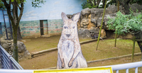 この小ささで3つもの”顔はめパネル”を有する『江戸川区自然動物園』