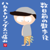 数日前の散歩後ハムストリングスに痛み