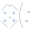 今学び直す！腹部のフィジカルアセスメント（聴診・触診編）