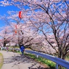 4月21日…太平川観桜会★その3