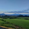 きょうから8月、涼しい朝の散歩に出てみました・・・