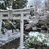 【京都】長岡京市、『乙訓寺』に行ってきました。 紅葉 雪 女子旅