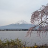 富士五湖ウルトラマラソン80km完走してきました