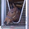 シルクなお馬さん（２歳牝馬・北海道組）