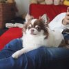 邪魔でしゅよ。