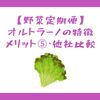 【野菜定期便】オルトラーノの特徴・メリット⑤・他社比較