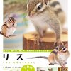 いつまでも仲良しでいて欲しい…猫とリスが一緒に遊ぶ姿がかわいすぎる❗️❗️