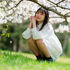 らんまん❣️ なるはちゃん その17 ─ 北陸モデルコレクション 2024.4.7 呉羽山公園都市緑化植物園 ─