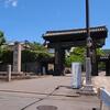 京都　青モミジ100シリーズの法然上人の金戒光明寺