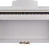 Địa điểm bán piano điện roland HP 601 chính thương hiệu tại tphcm