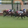 10/9公開予想⇒京都大賞典　単勝・馬連的中！