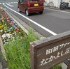 春爛漫 ─ チューリップ・カタクリの花・桜 ─ Photoおしゃべり