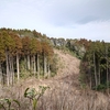 手取城（鹿児島県曽於市）