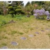 草刈りは待ったなし