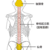 ギックリ腰癖のある人の原因