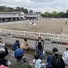 東京競馬場　乗馬センターのホースショーを見て思ったこと