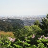 白山神社（東京都西多摩郡日の出町）