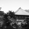 真覚寺まで散歩（Oct. 29, 2006）