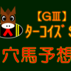 【GⅢ】ターコイズS 展望