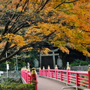 お気楽写真館