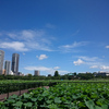 日本美術の流れ@東京国立博物館 本館