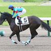 １３日に栗東・高橋義忠厩舎へ帰厩しています。☆グレイシャーパーク