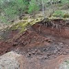 九州行きと福知山でのコロナウイルス武漢肺炎回避、やはり行って正解じゃったのう。