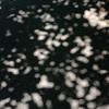 センチメンタルな夏。