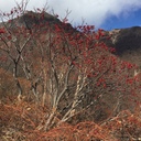 おんがくのつかいみち