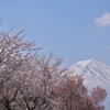 富士山と桜2019年4月20日