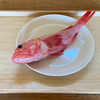 キンキを焼く