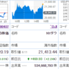 日経はほぼ変わらずですが保有銘柄は下げてます…