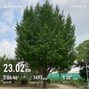 坂ダッシュ最終回