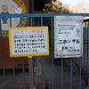 館山市城山公園のサルとキバタンの飼育について市に質問してみました