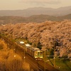 桜金太郎を船岡で情景撮影 その三