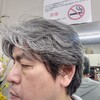 ハリ、コシが無い