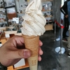 皆様、お久しぶりです………