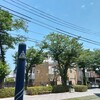 (巻四十四) 手鏡にわが死顔の夜寒かな(宮本正章)