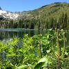 アメリカでの初キャンプ。(Sardine Lake, Sierra city, CA)