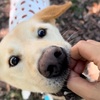 2023年10月2日🐾 今日のマヤ暦